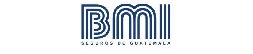 BMI